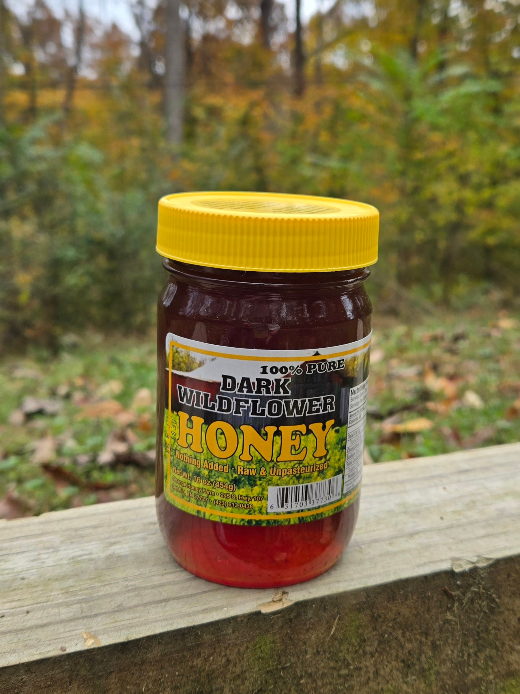 Tennessee Mountain Honey - 16 oz (1 lbs) | Tennessee Artisan Honey