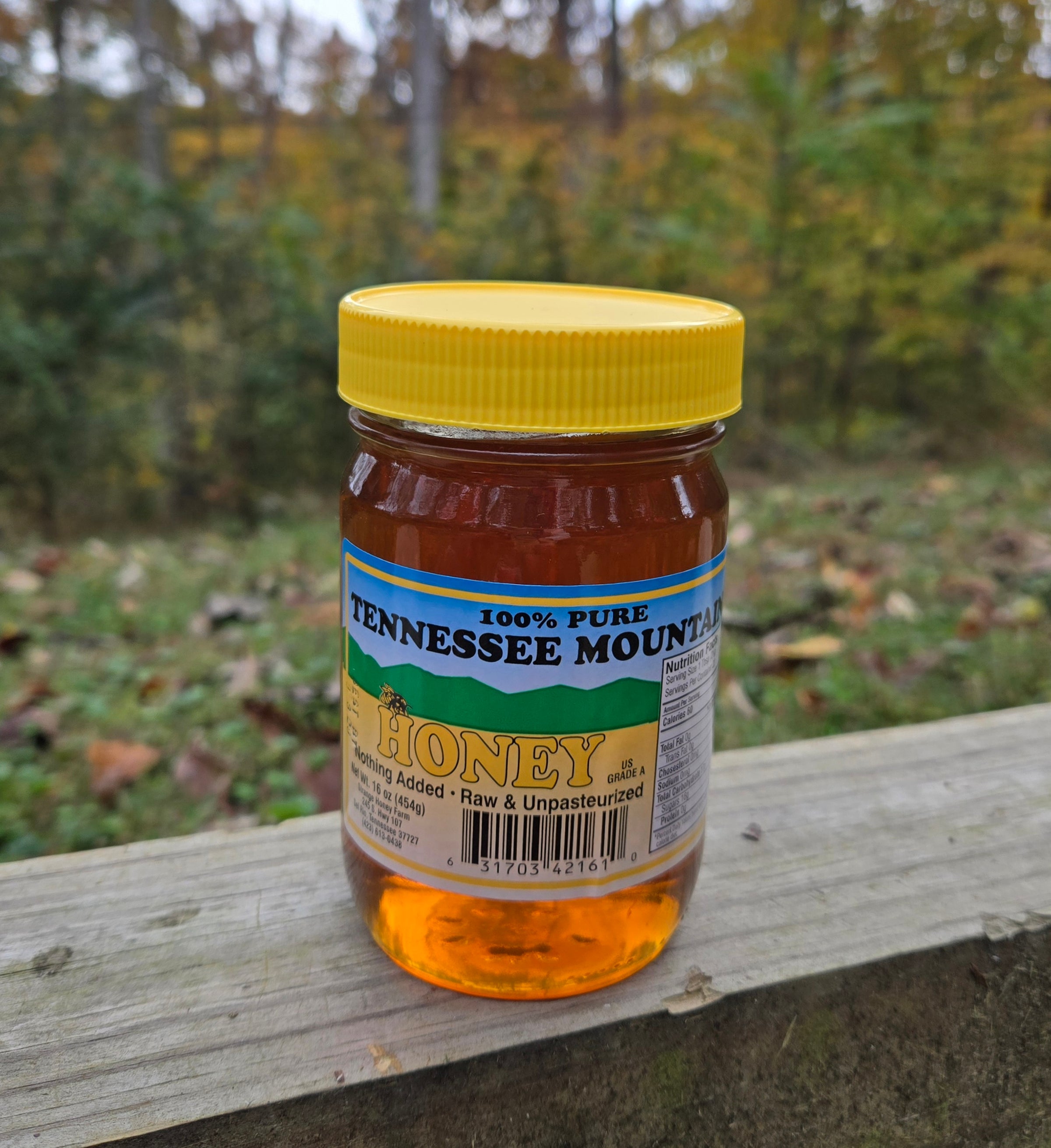 Tennessee Mountain Honey - 16 oz (1 lbs) | Tennessee Artisan Honey Tennessee Mountain Honey - 16 oz (1 lbs) | Tennessee Artisan Honey
